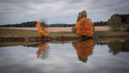 Colorful autumn trees reflected on the water surface