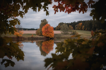 Colorful autumn trees reflected on the water surface