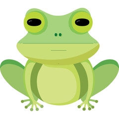 Green frog with light yellow belly sitting down with black eyes and no expression against a transparent background