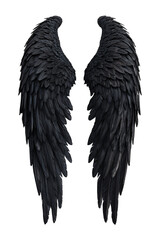 Black Wings Isolated on Transparent Background, Fantasy and Dark Art Element