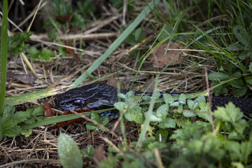 Découverte du Pays Basque 
