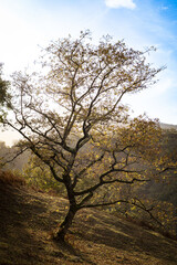 Obraz premium Découverte du Pays Basque