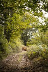 Obraz premium Découverte du Pays Basque