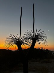 A stunning seascape sunset, Brighton Beach, South Australia. Worth a visit!