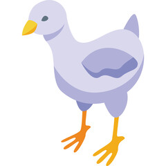 A light purple baby chick with orange legs and yellow beak stands on a transparent background ready for Easter celebration