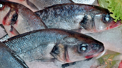 Fresh sea bass fish on ice market stall