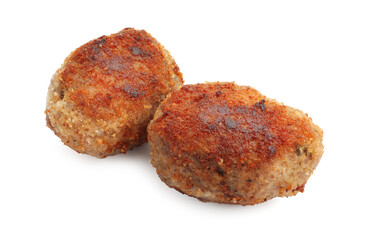 Two tasty meat patties isolated on white