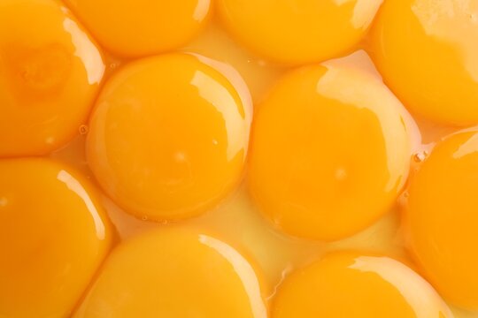 Fresh egg yolks as background, top view