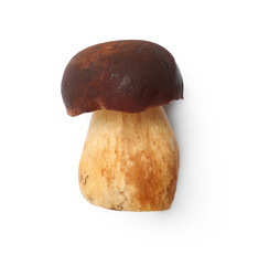 Fresh porcini mushroom isolated on white, top view