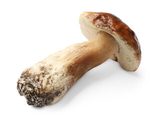 One fresh porcini mushroom isolated on white