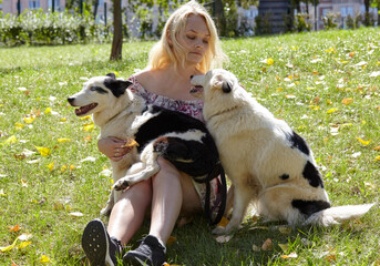 Owner plays with a siberian laika dogs in autumn park. Friendship of a dog and a woman