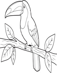 Minimalist line art illustration of a toucan with a prominent colorful beak