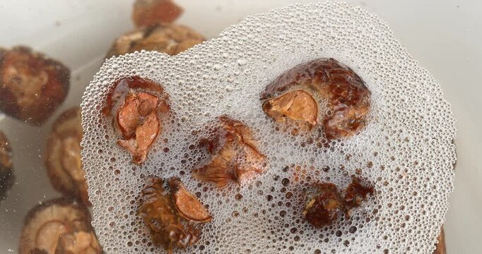 Soap nuts floating in water with bubbles. Close-up footage of the rotating table.