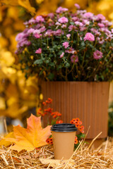 Autumnal decoration made of different vegetables and plants. Agriculture on autumn or summer