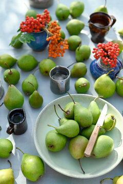 Pears and rowanberries on ceramic table decoration outdoors in autumn