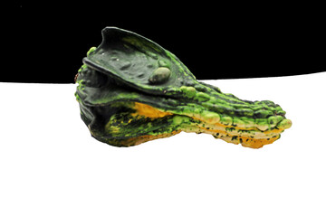 une coloquinte fruit de l automne