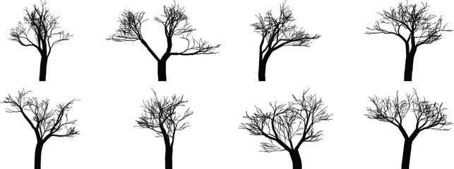 Collection of silhouetted bare trees in different branching patterns and sizes