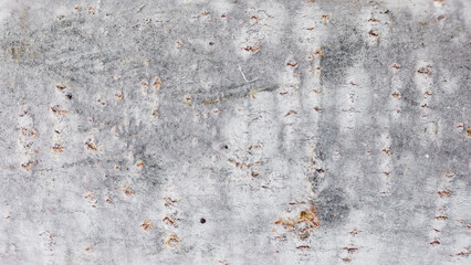 Detailed texture of rough tree bark showcasing natural patterns and colors in an organic setting