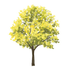  Vector watercolor green  tree or forest side view isolated on white background for landscape and architecture drawing,elements for environment or and garden,Shrub for section