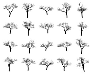 Vector art of collection of 20 bare deciduous trees in silhouette