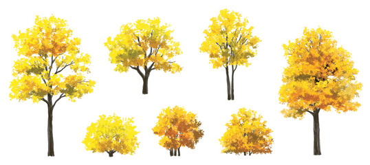 Vector watercolor illustration of a blooming flower tree or forest side view, ginkgo isolated on a white background, suitable for landscape and architecture drawing. The illustration includes elements