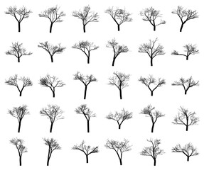 Vector art of collection of 30 different bare deciduous trees in silhouette, , showcasing various branch structures and forms