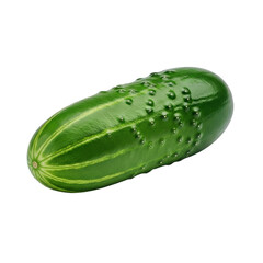 Single Fresh Cucumber Fruit with Smooth Glossy Green Skin