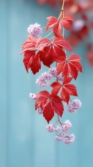 red flowers on a branch