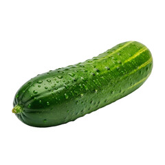 Single Fresh Cucumber Fruit with Smooth Glossy Green Skin