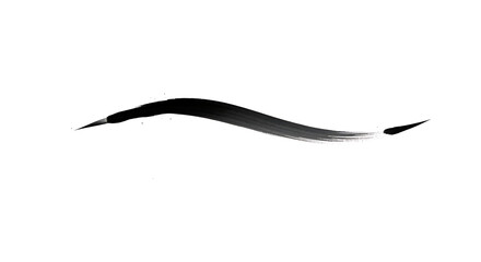 A single black brush stroke with pointed ends on a white background in a simple abstract design