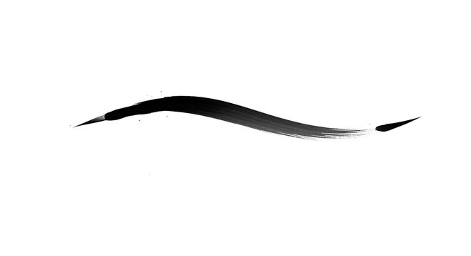A single black brush stroke with pointed ends on a white background in a simple abstract design