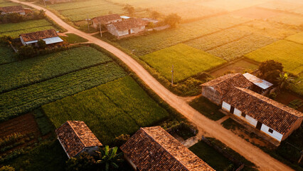 Aerial view of rural farmland with traditional houses and green fields at sunrise
