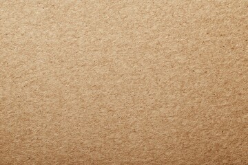 Fototapeta premium Uniform Textured Surface of Light Brown Sandy Granules with Natural Grain Detail