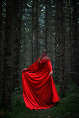 In a dense forest filled with towering trees, a woman dressed in a radiant red gown moves...