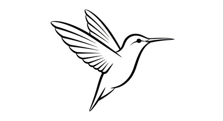 Obraz premium Elegant hummingbird line art illustration showcasing nature's beauty and dynamic flight portrayal