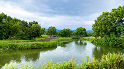 ひょうたん島公園の夏風景