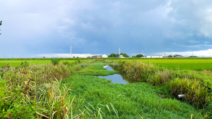 ひょうたん島公園の夏風景