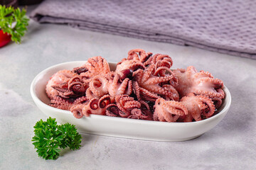 Marinated canned mini baby octopus