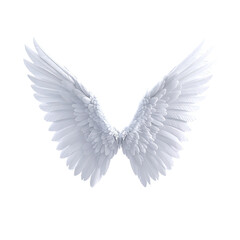 Fototapeta premium Symmetrical white angel wings on a dark background