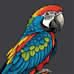 cute parrot vector with dark grey background