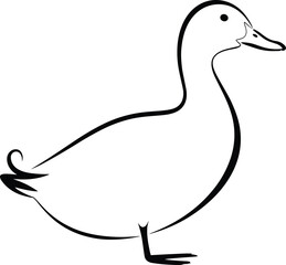 Minimalist line art duck illustration, elegant black and white bird drawing, decorative animal outline, simple vector style, modern abstract design