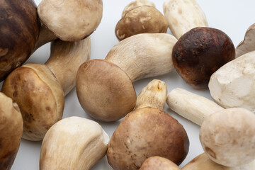 Close-up porcini mushroom on a clean white background. Detailed texture of cap and stem, perfect for culinary projects, healthy diet topics, natural ingredients, cooking blogs and food packaging.