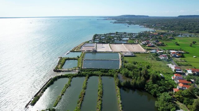 Aerial view of coastal fish ponds and green fields near the shoreline, with calm blue sea and village houses under a bright clear sky.