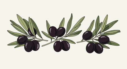 Three olive branches with black olives and green leaves, illustrating Mediterranean culinary tradition