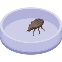 A small brown beetle with striped back rests inside a clear petri dish with a light purple tint and a transparent background studio lighting