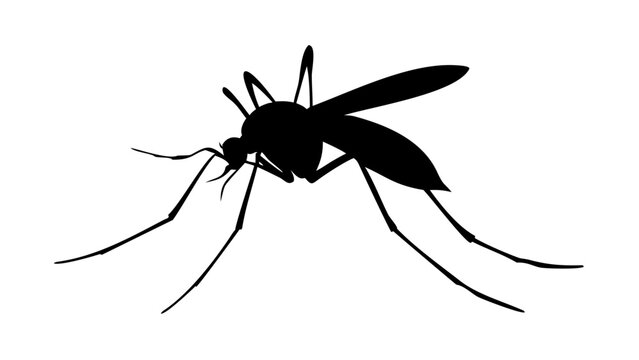 mosquito silhouette vector illustration, isolated on white .vector icon
