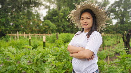 Portrait, southeast asian woman farmer in vegetable farm, eggplant plants, looking at camera, in...