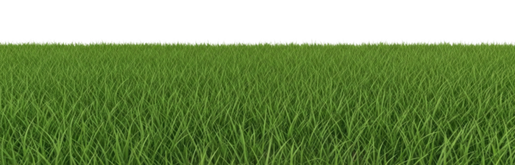Green grass field with black sky background transparent background cutout png