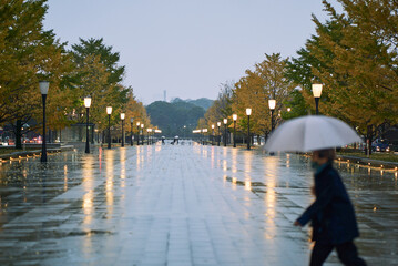 Person with Umbrella Walking on Rainy Street in Tokyo
