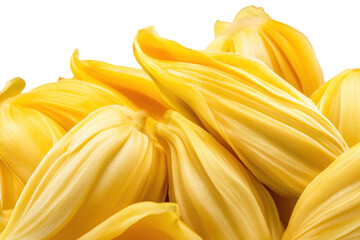 Ripe jackfruit bulbs isolated on transparent background. Jackfruit isolated on white background.